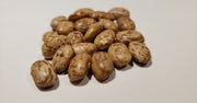 Pinto Bean